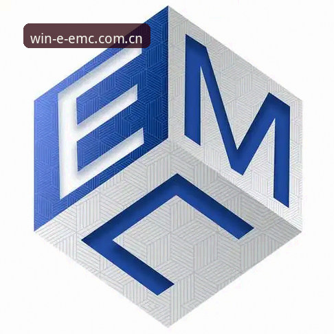 EMC体育官网地址 揭秘EMC体育官网地址:2025年最新版本背后的创新体验与数据真相